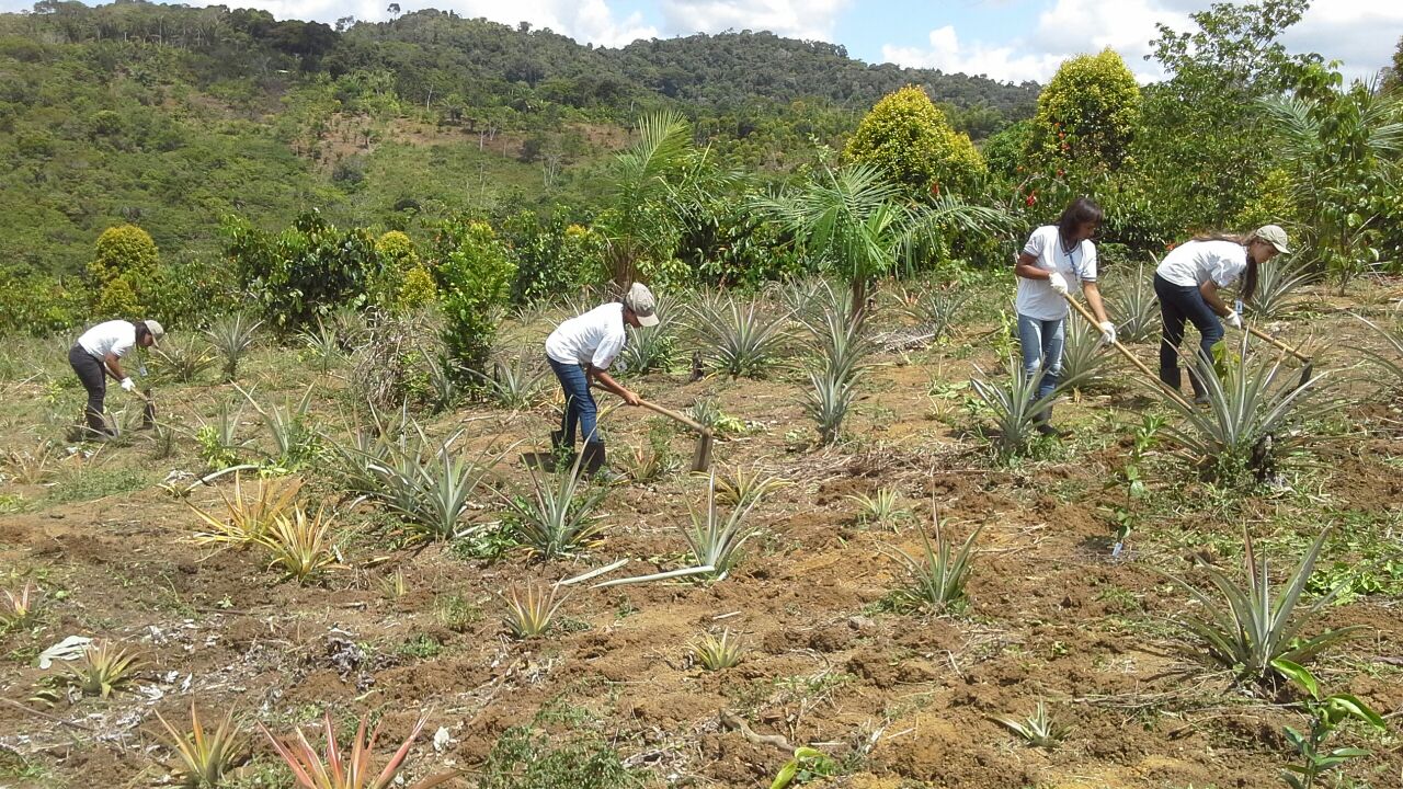 3_1_Alunos participando preparo e limpeza da área para plantio de citros na Unidade de aprendizagem.jpg